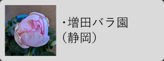 増田バラ園