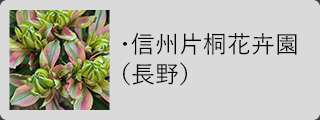 信州片桐花卉園