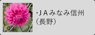 ＪＡみなみ信州